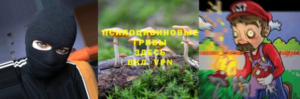 mix Козельск